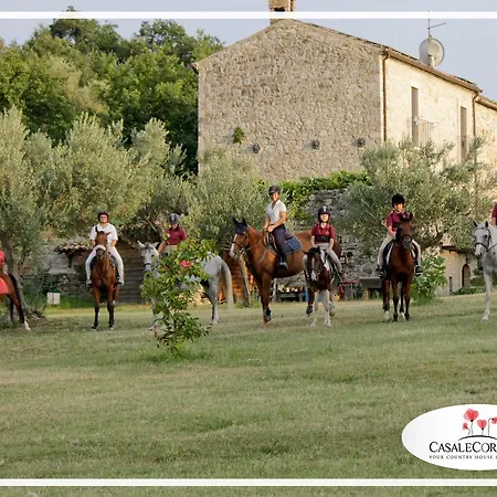 Casale Corneto And Equestrian Club شقة Bomba